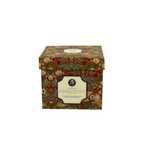 Cana cu Capac si Infuzor 0.43L  "W. Morris - Strawberry Thief Red"