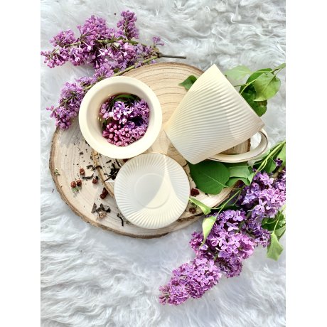 Cana cu infuzor de portelan colectia "Ice Cream"