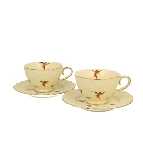 Set 2 cesti cu farfurie pentru espresso colectia "HummingBird"