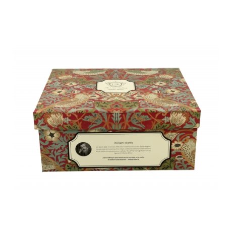 Set 2 Cescute cu Farfurie Colectia "William Morris - Strawberry Thief Red"