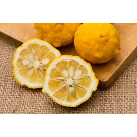 "Japan Daily " - Ceai Verde Bio Organic Japonia - "Kukicha Mint Lemon"